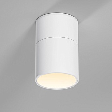 Потолочный светильник Elektrostandard 25112/LED a067486 1