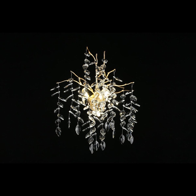 Настенный светильник Aployt Gertunia APL.847.01.03 Фото № 4