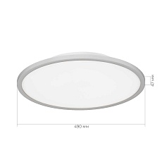 Потолочный светильник Evoluce Тассен SLE1811-502-01 1