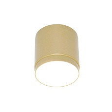 Потолочный светильник Maytoni Technical Polar C088CL-GX53-MG 2