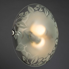 Настенный светильник Arte Lamp Leaves A4020PL-2CC 2
