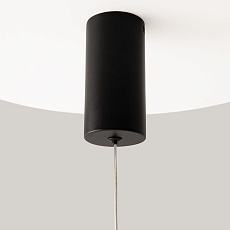 Подвесной светодиодный светильник Maytoni Pro Shade MOD157PL-L6BK 2