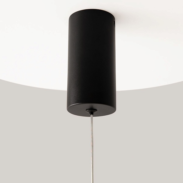 Подвесной светодиодный светильник Maytoni Pro Shade MOD157PL-L6BK Фото № 3