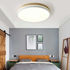 Потолочный светильник Imperium Loft Disc Dh D27 Green 189893-26 1