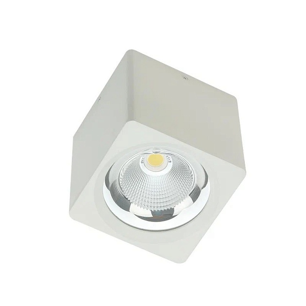 Потолочный светодиодный светильник Fiberli CH-SD220-1 12120101 фото 
