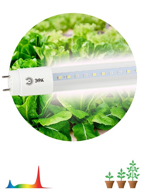 Лампа светодиодная для растений ЭРА G13 18W 1200K прозрачная Fito-18W-Ra90-Т8-G13-NL Б0042987 фото 5