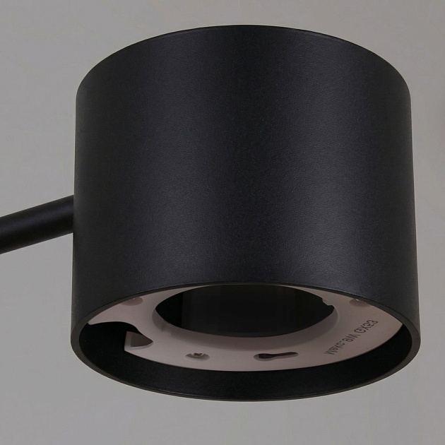 Потолочная люстра Reluce 47206-0.3-06BK Фото № 4