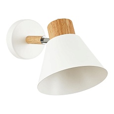 Спот Evoluce Buve SLE103701-01 2