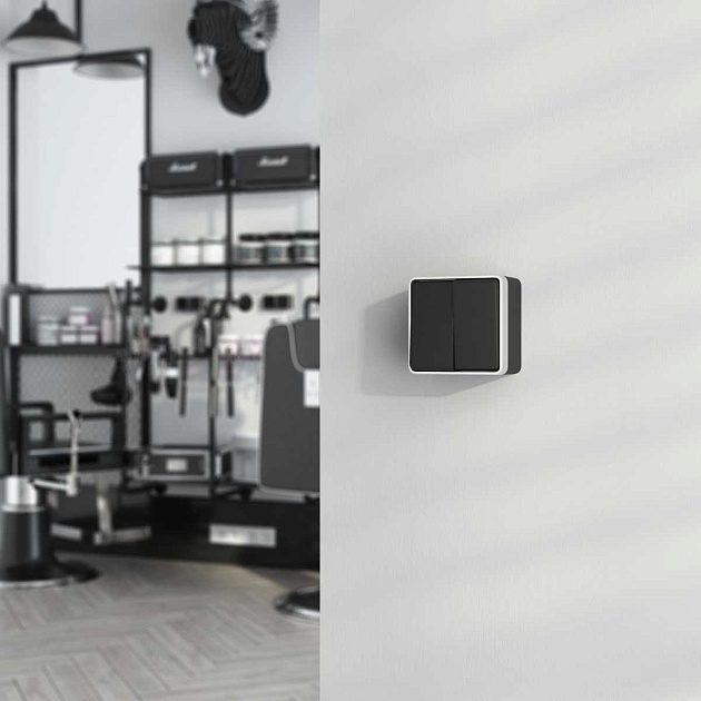 W5020234/ Выключатель двухклавишный влагозащищенный Gallant (черный с серебром) изображение 3 W5020234/ Выключатель двухклавишный влагозащищенный Gallant (черный с серебром) Фото № 3