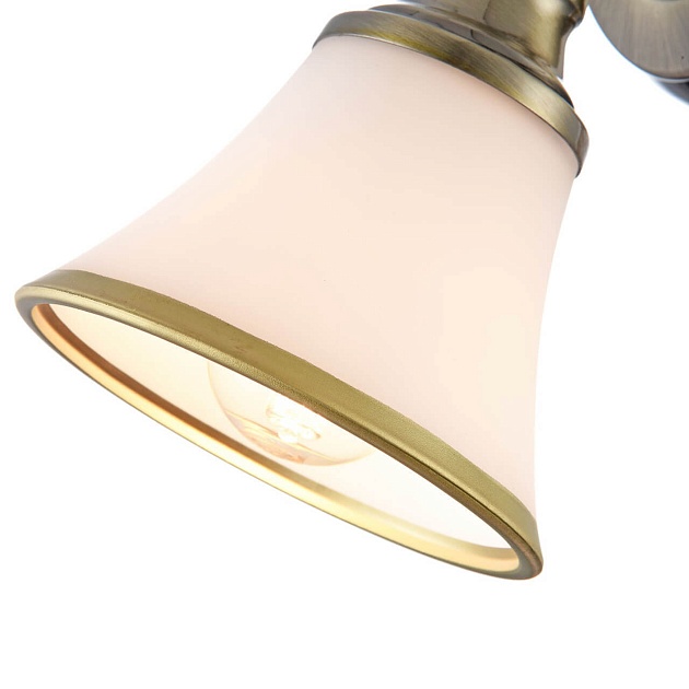 Спот Freya Jasinta FR2272-WL-01-BS Фото № 4