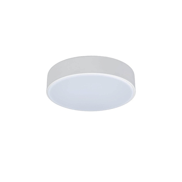Потолочный светодиодный светильник Loft IT Axel 10002/12 white фото 