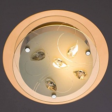 Потолочный светильник Arte Lamp A4043PL-1CC 2
