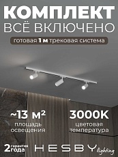 Накладная однофазная трековая система Hesby Lighting Skylite №3 со светильниками HSBL_kompl_S003_NI1W3K