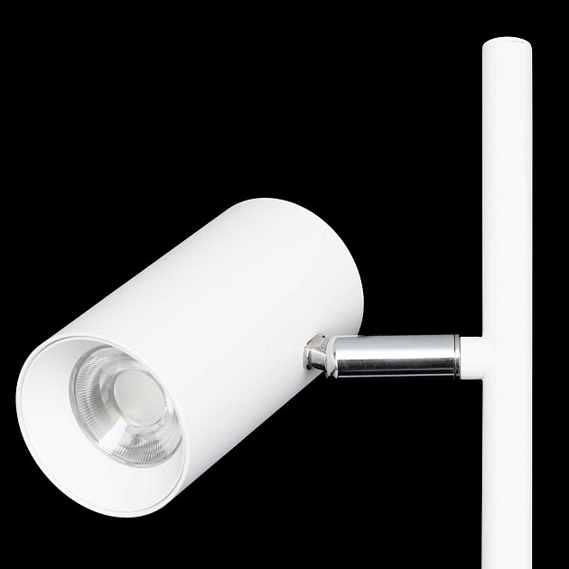 Торшер Citilux CL809010N Фото № 3