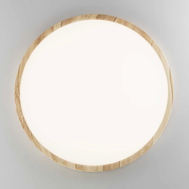 Потолочный светильник Citilux Бейсик Клен CL738322V Фото № 2