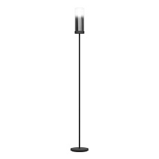 Торшер Eglo Toothill 44004 2