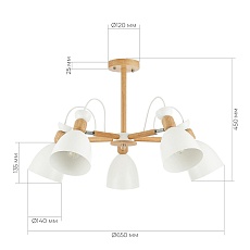Потолочная люстра Evoluce Balcamo SLE103802-05 2