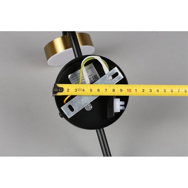 Бра Aployt Delayn APL.042.01.07 Фото № 4