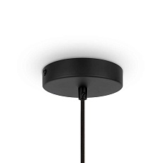 Подвесной светильник Maytoni Modern Roots MOD197PL-01W 1