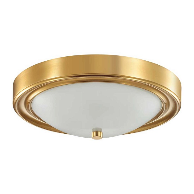 Настенно-потолочный светильник Lumion Vintage Nina 5259/2C Фото № 1
