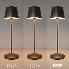 Настольная аккумуляторная лампа Maytoni Modern Nook MOD494RL-L1BK 5