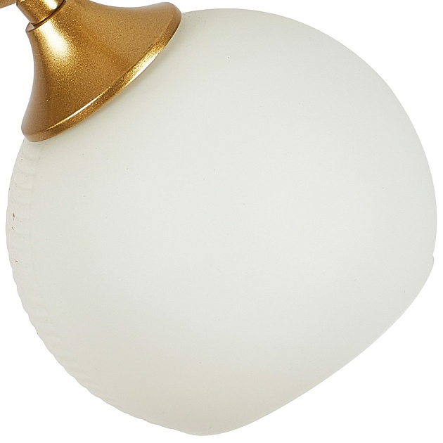 Потолочный светильник Reluce 32622-0.3-02 изображение 3 Потолочный светильник Reluce 32622-0.3-02 Фото № 3