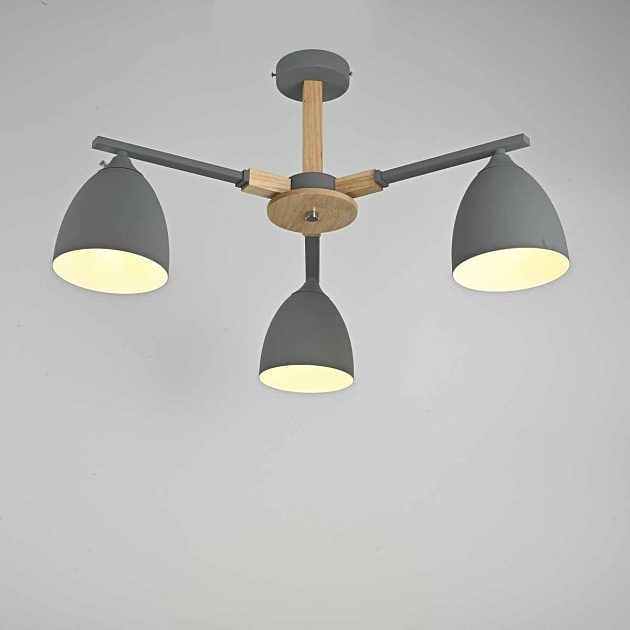 Потолочная люстра Imperium Loft Noa 101838-26 Фото № 12