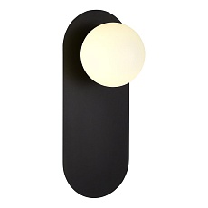 Настенный светильник Evoluce TOCCO SLE1194-401-01 1