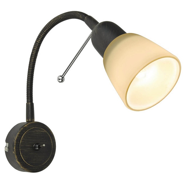 Спот Arte Lamp Lettura A7009AP-1BR фото 