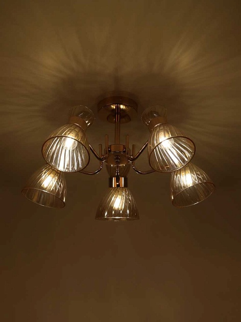 Потолочная люстра Rivoli Victoria 9183-305 Б0069944 изображение 5 Потолочная люстра Rivoli Victoria 9183-305 Б0069944 Фото № 5