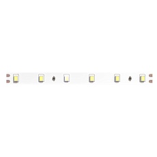 Светодиодная лента 24V 4,8W/m 6500К 5м Arte Lamp TAPE A2406008-03-6K