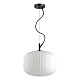 Подвесной светильник Odeon Light Pendant Roofi 4754/1 ⚡ — купить с ...