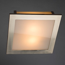 Потолочный светильник Arte Lamp Spruzzi A6064PL-2SS 3