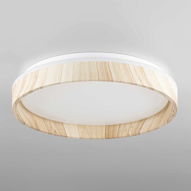 Потолочный светильник Citilux CL753352G Фото № 8