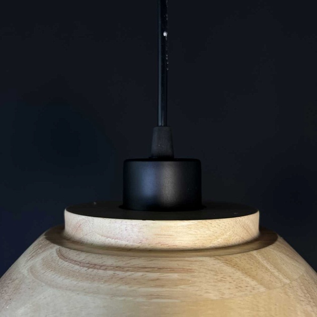 Подвесной светильник Imperium Loft Eco 101549-26 Фото № 10