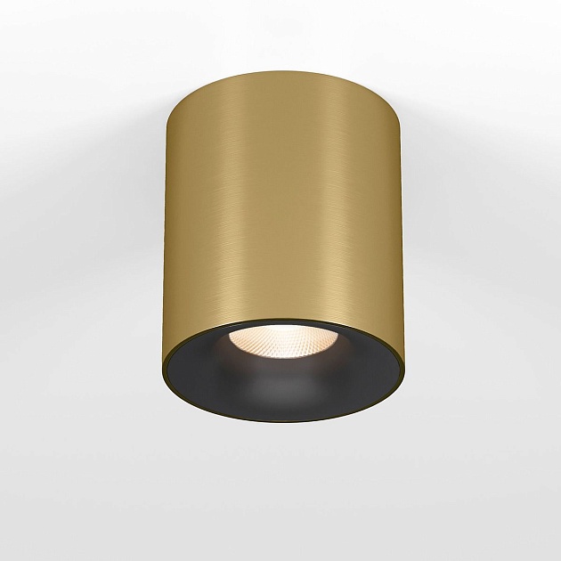 Потолочный светодиодный светильник Elektrostandard Primo 25116/LED a069413 Фото № 1