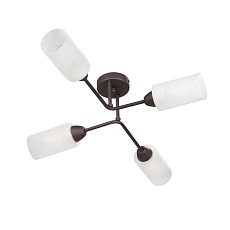 Потолочная люстра Vitaluce V4188-7/4PL 5