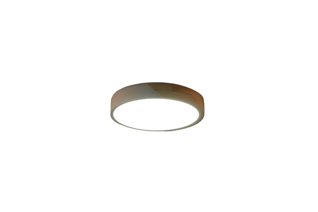 Потолочный светильник Zortes ALBERRO ZRS.01289.36 изображение 3 Потолочный светильник Zortes ALBERRO ZRS.01289.36 Фото № 3