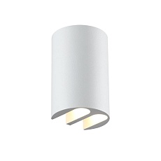 Настенный светильник Odeon Light NATURE 7126/4WL 2