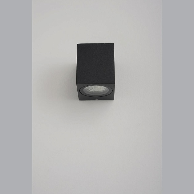 Настенный светильник Crystal Lux CLT 528W1 BL Фото № 3