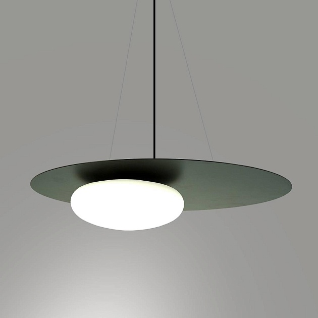 Светильник подвесной Lightera Waddy LE140L-26B Фото № 4