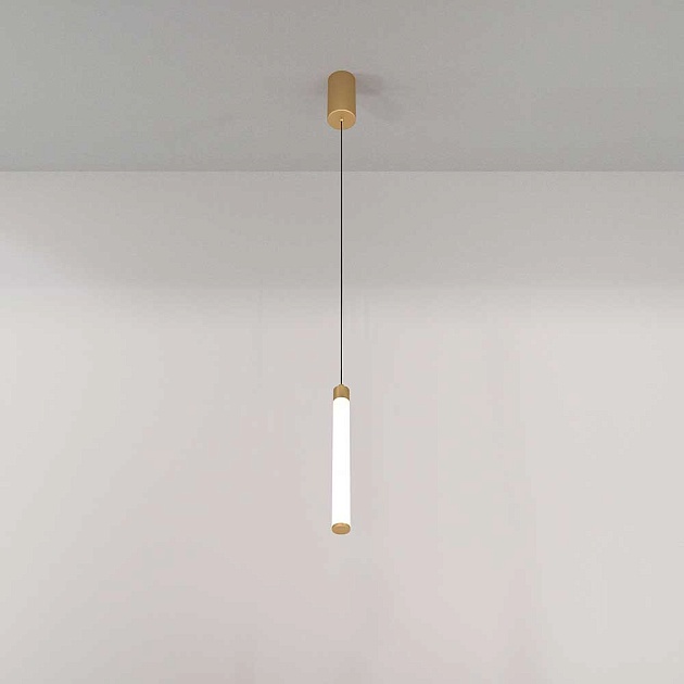 Подвесной светильник Maytoni Ray P022PL-L10MG3K Фото № 9