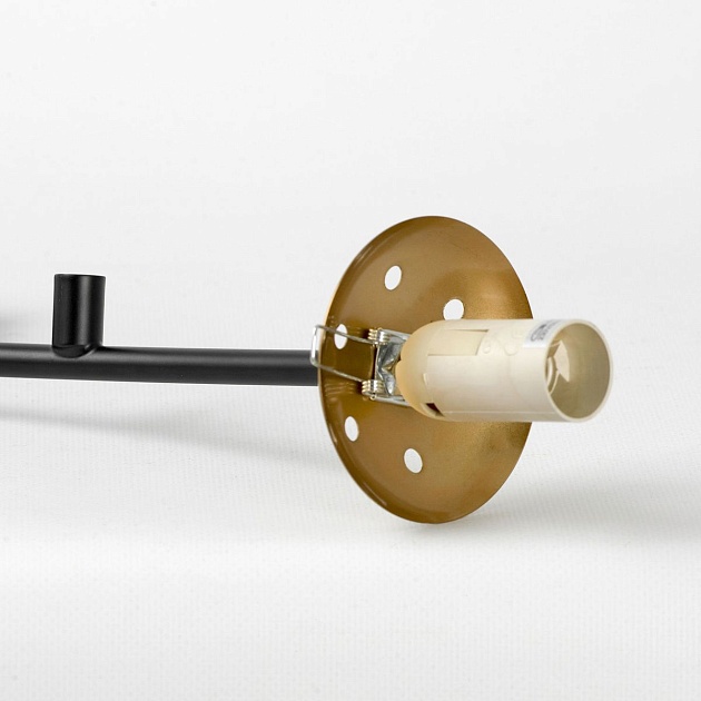 Подвесная люстра Lussole LSP-8891 Фото № 4