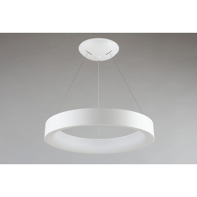 Подвесной светодиодный светильник Aployt Michell APL.052.03.60 Фото № 14