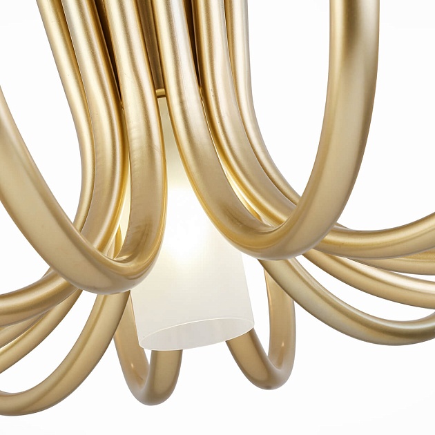 Потолочная люстра ST Luce Pafe SL1173.202.13 Фото № 5