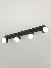 Спот Rivoli Alesta 7079-704 Б0069934 5