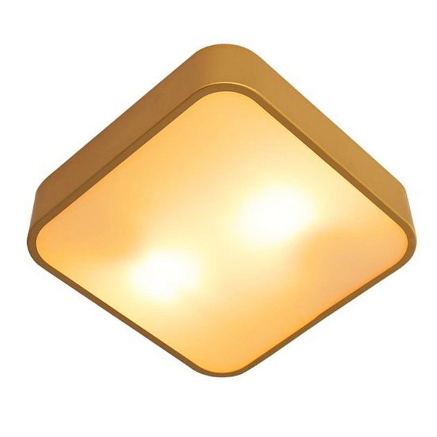 Потолочный светильник Arte Lamp Cosmopolitan A7210PL-2GO Фото № 1
