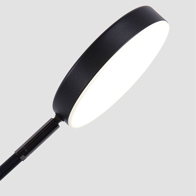 Настольная лампа Favourite Vorago 4572-1T изображение 5 Настольная лампа Favourite Vorago 4572-1T Фото № 5