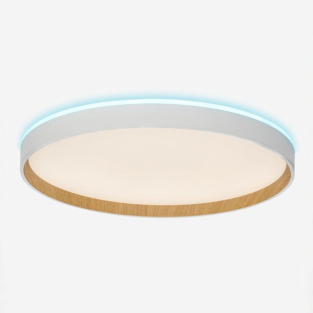 Потолочный светодиодный светильник Citilux Etalon CL750400R Фото № 14