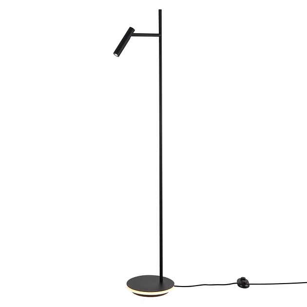 Торшер Maytoni Estudo Z010FL-L8B3K Фото № 1